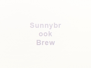 Handwritten Style Fonts for Beverage Brands